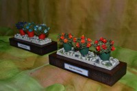 /album/minipeanas1/peanascuadros-004-jpg2/